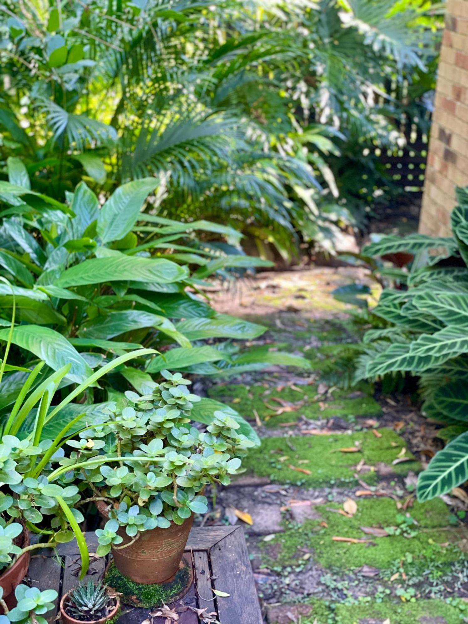 Lilli Pilli Guesthouse Byron Bay Exteriér fotografie